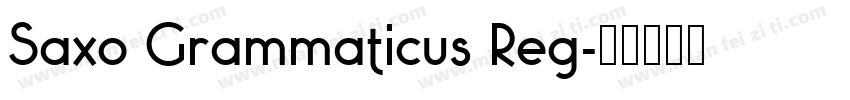 Saxo Grammaticus Reg字体转换